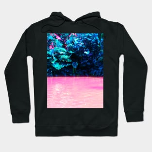 90s Tropical Aesthetic Hoodie